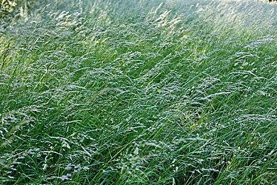 《龙珠：电光火石0》新预告片展示各合体角色